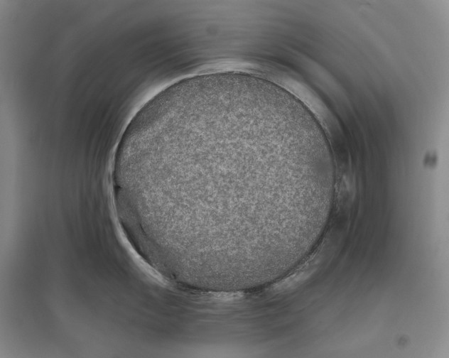 X0000096711055200802261624