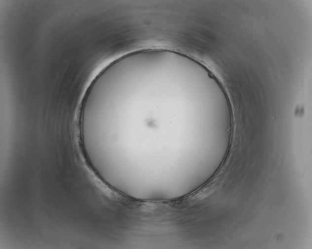 X0000096711056200802261624