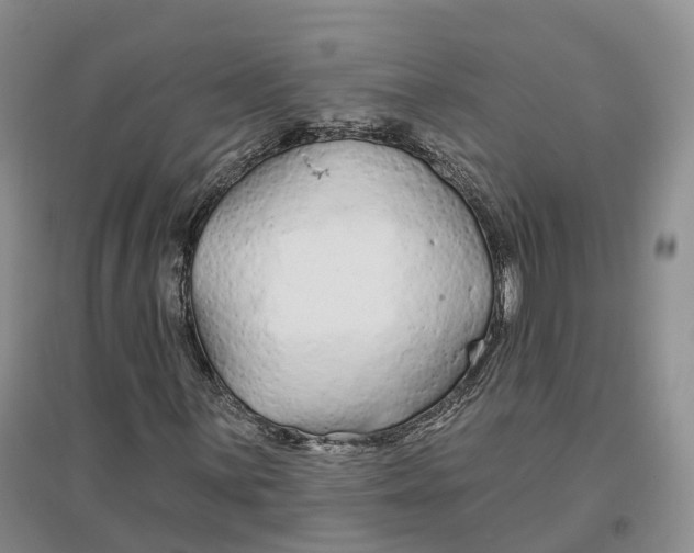 X0000096711059200802261624