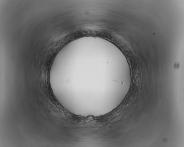 X0000096711061200802261624