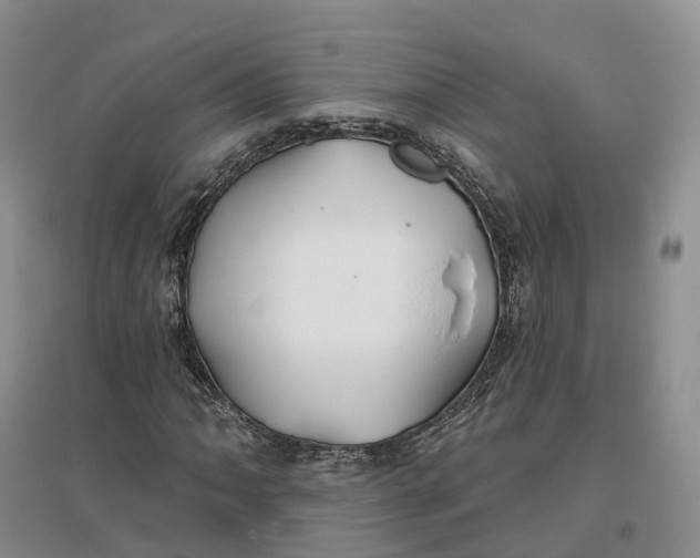 X0000096711062200802261624