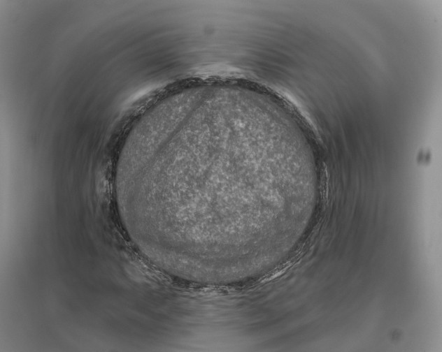 X0000096711063200802261623