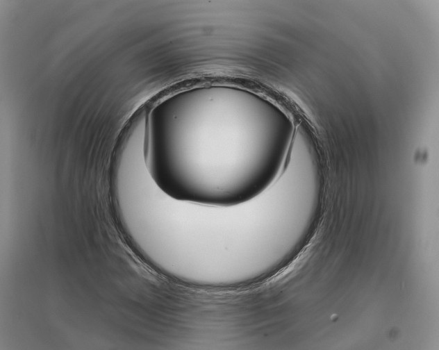 X0000096711065200802261623