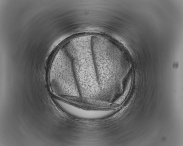 X0000096711066200802261623