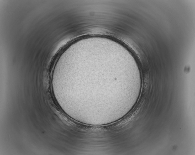 X0000096711067200802261623