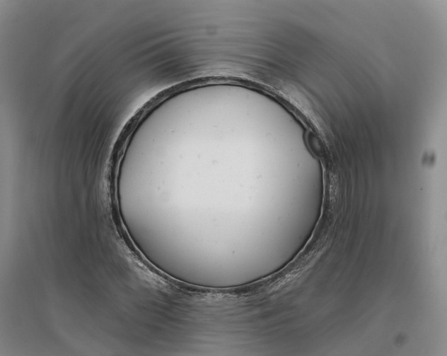 X0000096711068200802261623