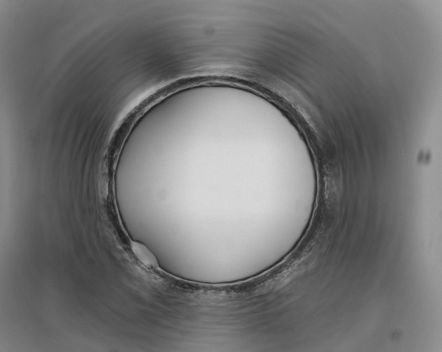 X0000096711069200802261623