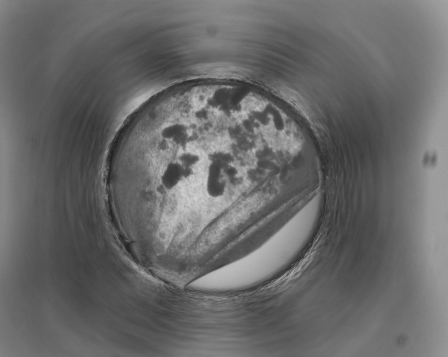 X0000096711071200802261623