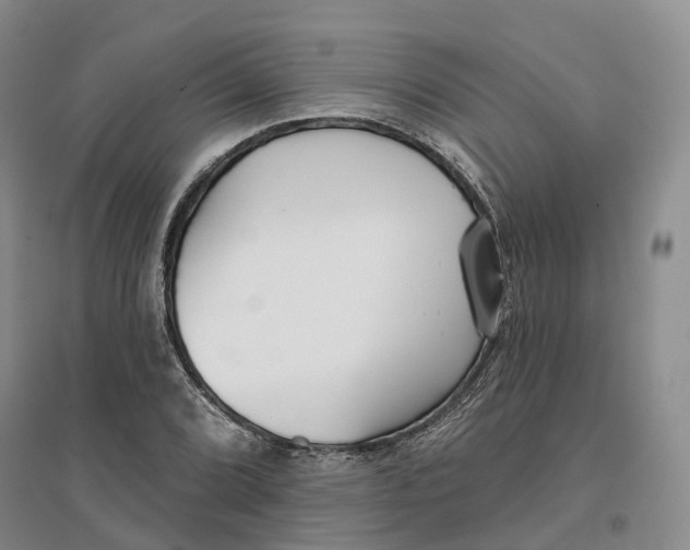 X0000096711072200802261623