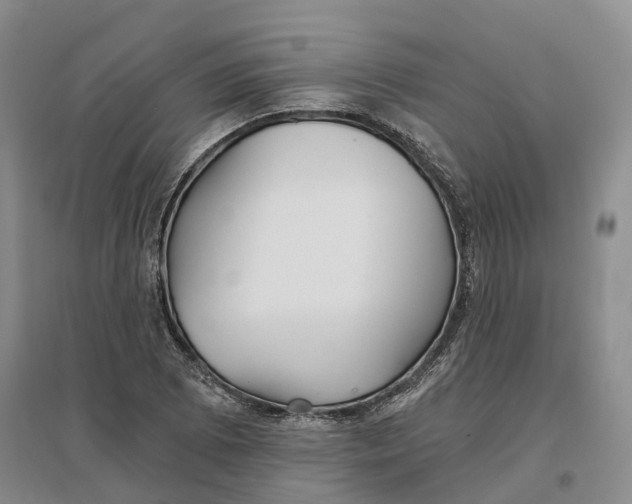 X0000096711073200802261623