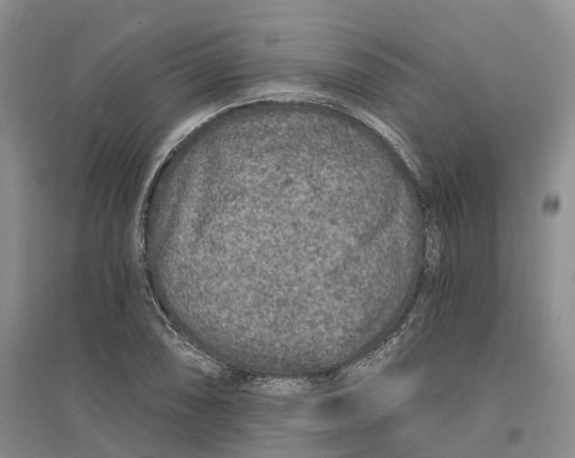 X0000096711074200802261623