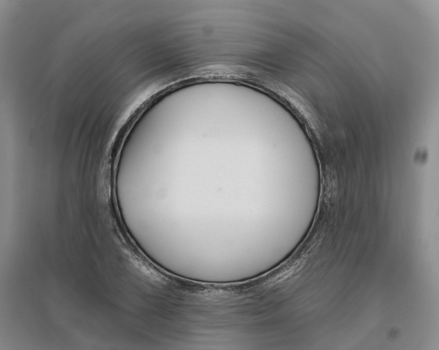 X0000096711075200802261623