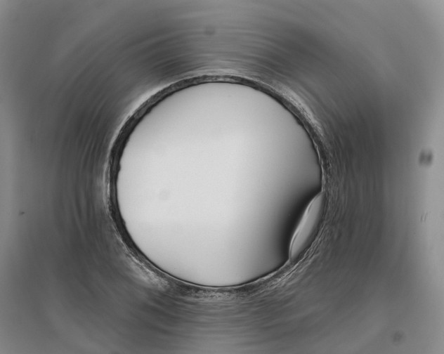 X0000096711076200802261623