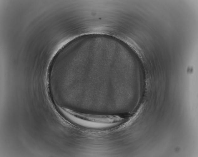 X0000096711077200802261623