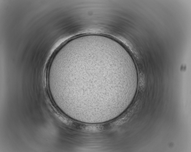 X0000096711078200802261623