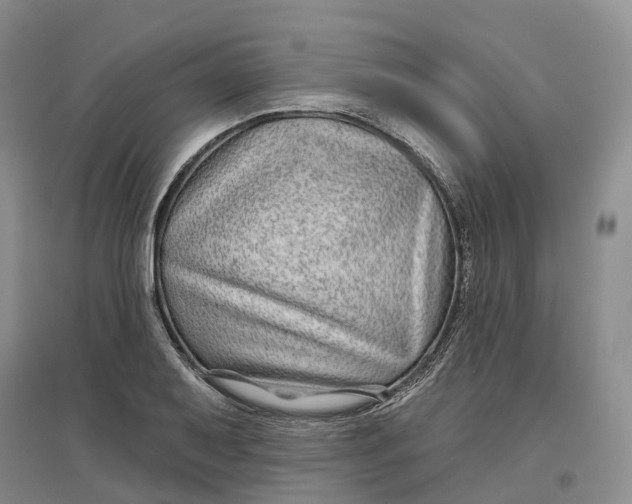 X0000096711079200802261623