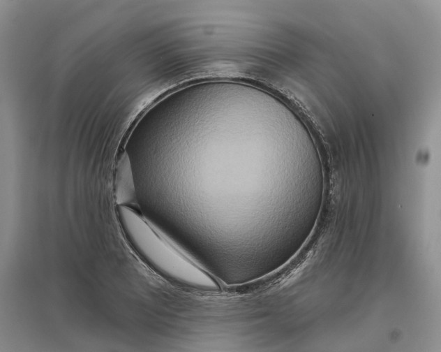 X0000096711081200802261623