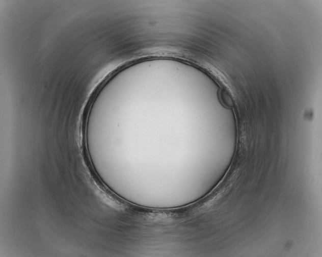 X0000096711082200802261623