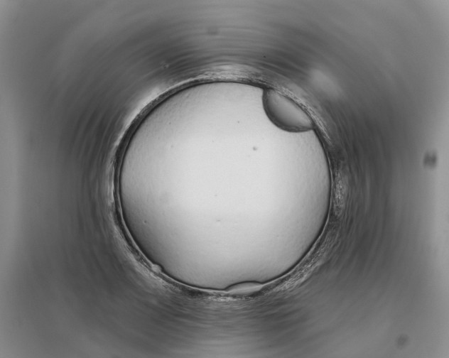 X0000096711083200802261623