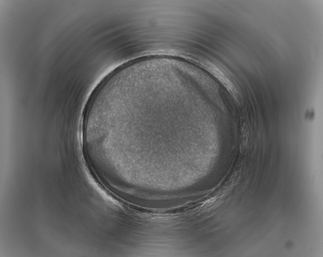 X0000096711084200802261623