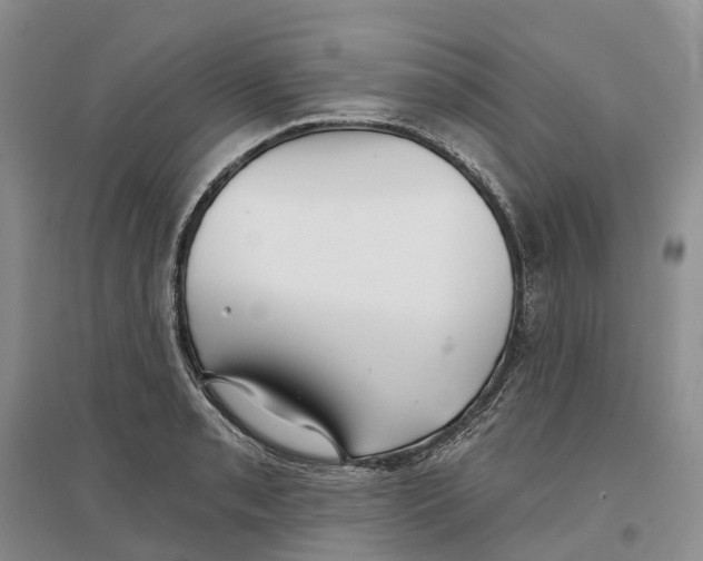 X0000096711085200802261623