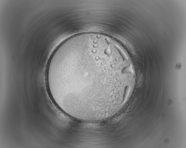 X0000096711086200802261623