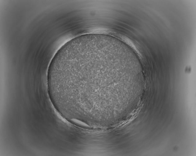 X0000096711087200802261623