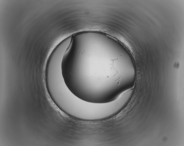 X0000096711088200802261623