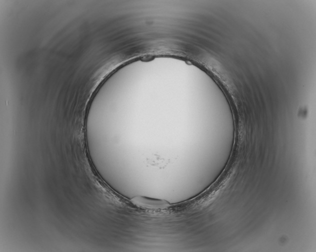 X0000096711089200802261623