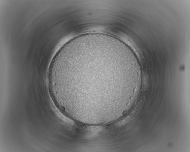 X0000096711090200802261623