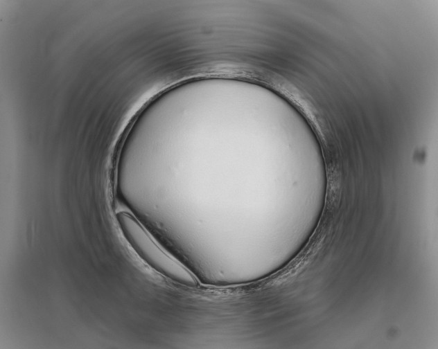 X0000096711091200802261623