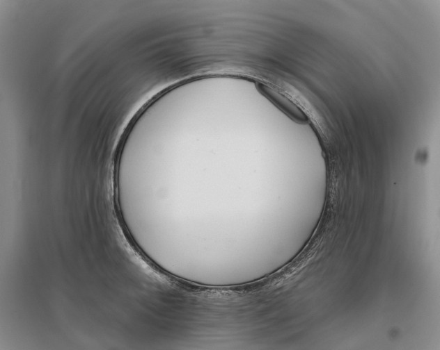 X0000096711092200802261623