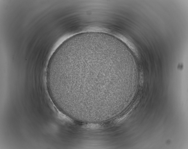 X0000096711094200802261623