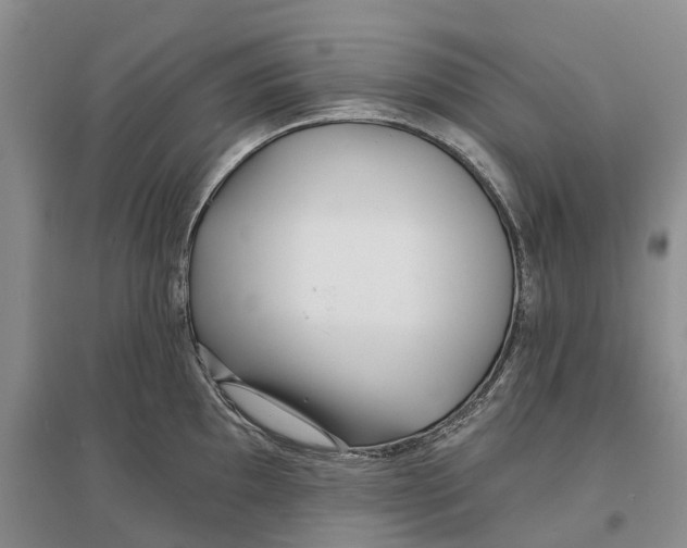 X0000096711097200802261623