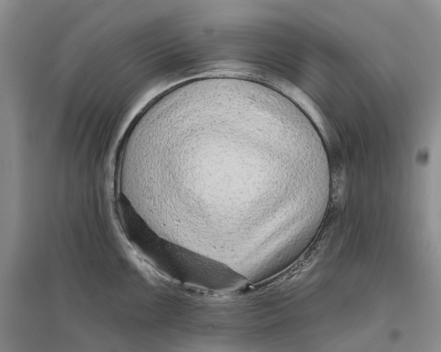 X0000096711099200802261623