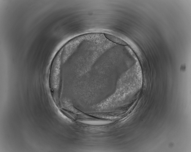 X0000096711102200802261623