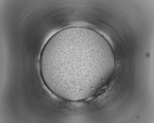 X0000096711103200802261623