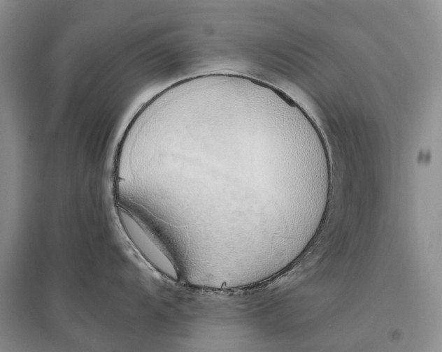 X0000096711104200802261623