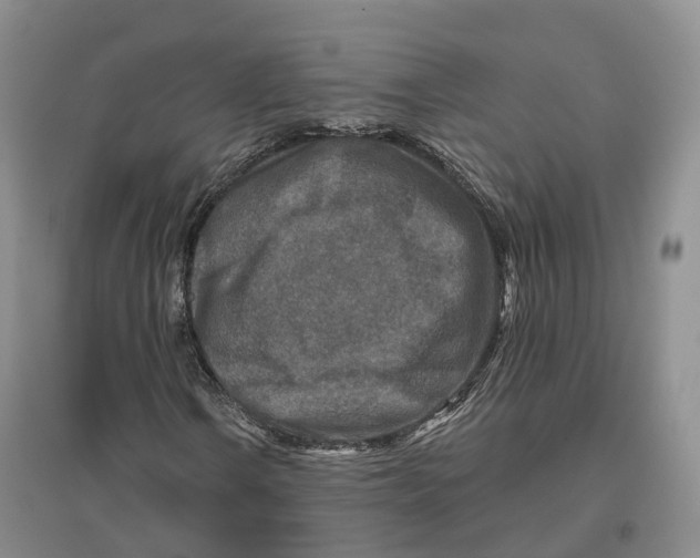 X0000096711106200802261622