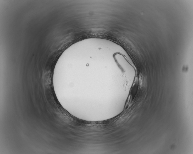 X0000096711107200802261622