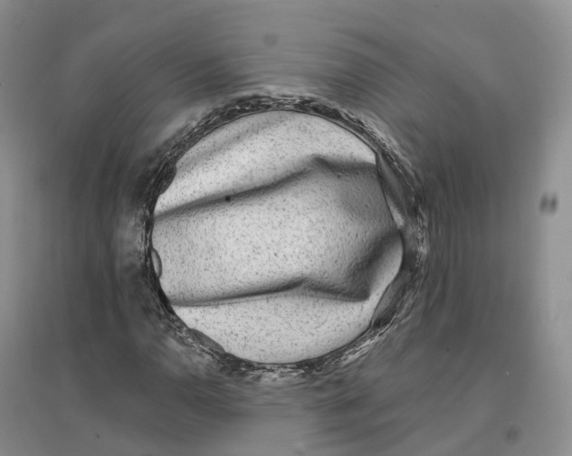 X0000096711110200802261622