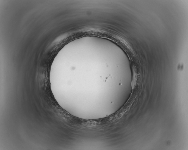 X0000096711111200802261622