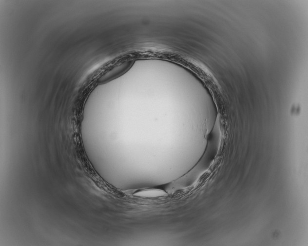 X0000096711112200802261622