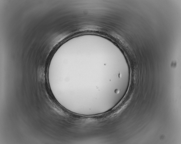 X0000096711113200802261622