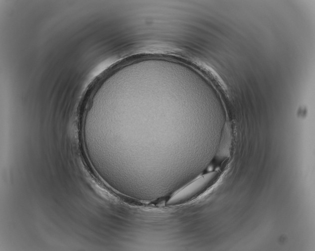 X0000096711114200802261622