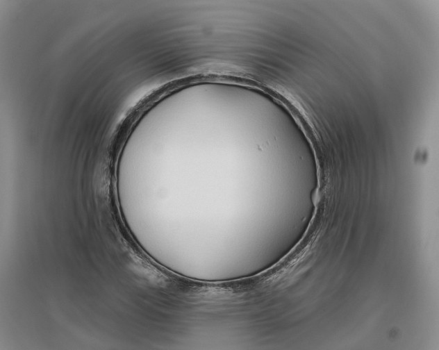 X0000096711115200802261622