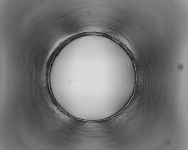 X0000096711116200802261622