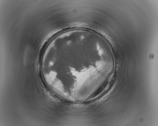 X0000096711117200802261622