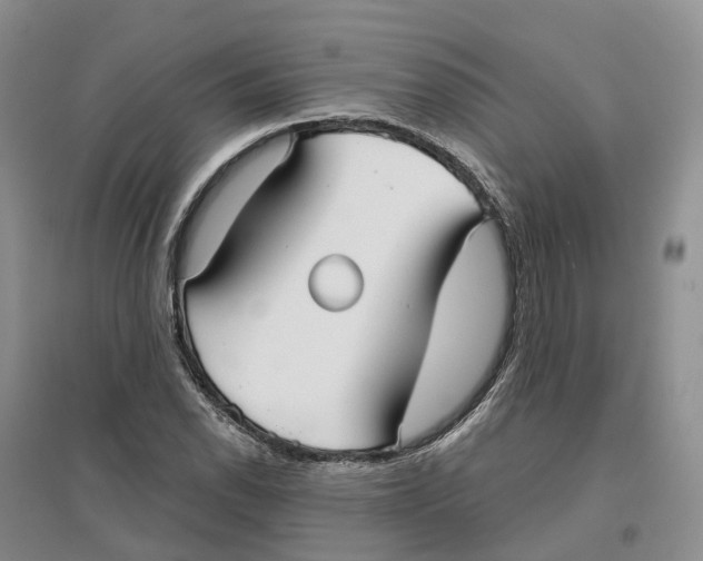 X0000096711118200802261622