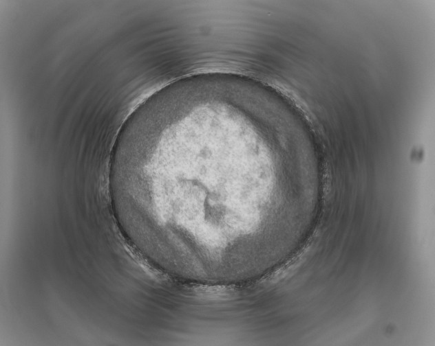 X0000096711121200802261622